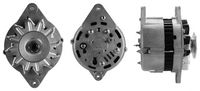 DRI 227101602 - Alternador