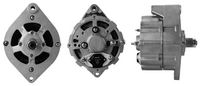 DRI 232101354 - Alternador