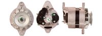 DRI 543004302 - Alternador