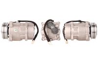 DELPHI TSP0159031 - Compresor, aire acondicionado