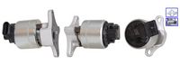 DELPHI EG1001512B1 - Válvula EGR