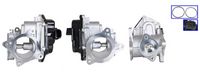 CASCO CVG73026GS - Válvula EGR - Genuine