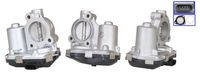 CASCO CVG73029GS - Válvula EGR - Genuine