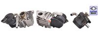 CASCO CVG75015GS - Válvula EGR - Genuine