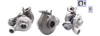 DAYCO 10A0825C - Correa trapezoidal