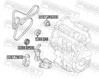 FEBEST 1288-DM - Polea inversión/guía, correa poli V