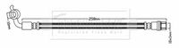 BLUE PRINT ADT353172 - Tubo flexible de frenos