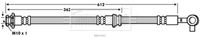 BLUE PRINT ADN153175 - Tubo flexible de frenos