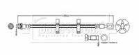 BLUE PRINT ADBP530024 - Tubo flexible de frenos
