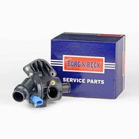 3RG 81752 - Termostato, refrigerante