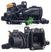 Aslyx AS535627 - Termostato, refrigerante