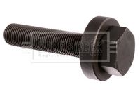 BORG & BECK BHN221 - Muñón de eje