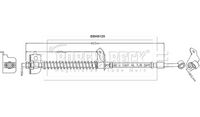 BLUE PRINT ADBP530050 - Tubo flexible de frenos