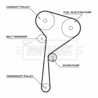 BORG & BECK BTW1004 - Bomba de agua + kit correa distribución