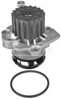 BLUE PRINT ADV189102 - Bomba de agua, refrigeración del motor