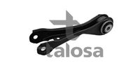 TALOSA 4601919 - Barra oscilante, suspensión de ruedas