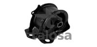 NTY ZPSHD042 - Soporte, motor
