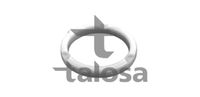 TALOSA 6302578 - Cojienete de rodillos, columna amortiguación