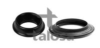 TALOSA 6304955 - Cojienete de rodillos, columna amortiguación