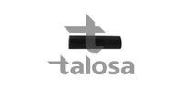 TALOSA 6304986 - Almohadilla de tope, suspensión