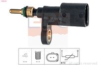 MDR EPS1830 355 - Sensor, temperatura del refrigerante