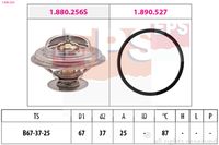 MDR EPS1880 256 - Termostato, refrigerante