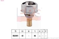 MDR EPS1880 247 - Termostato, refrigerante