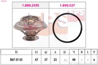MDR EPS1880 259 - Termostato, refrigerante