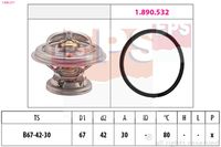 MDR EPS1880 271 - Termostato, refrigerante