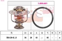 MDR EPS1880 398 - Termostato, refrigerante