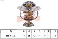MDR EPS1880 403S - Termostato, refrigerante