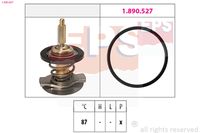 MDR EPS1880 807 - Termostato, refrigerante