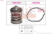 MDR EPS1880 762 - Termostato, refrigerante
