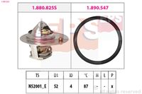 MDR EPS1880 825 - Termostato, refrigerante