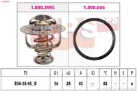 MDR EPS1880 848 - Termostato, refrigerante