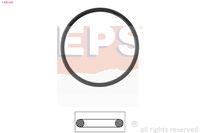 MDR EPS1890 642 - Junta, termostato