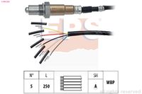 MDR EPS1998560 - Sonda Lambda