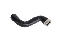 MANN-FILTER CF2120 - Filtro de aire complementario