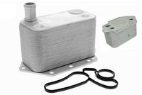 KAMOKA 7730085 - Radiador de aceite, aceite motor