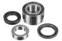 DAYCO KWD1469 - Juego de cojinete de rueda