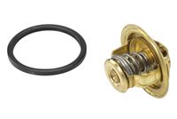 ERA 350159 - Termostato, refrigerante