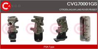 CASCO CVG70001GS - Válvula EGR - Genuine