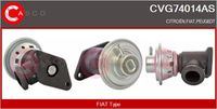 CASCO CVG74014AS - Válvula EGR - Brand New HQ