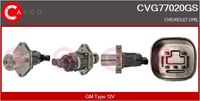 CASCO CVG77020GS - Válvula EGR - Genuine