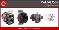 CASCO CAL30220GS - Alternador - Genuine