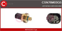 BOSCH 0281006266 - Sensor, presión combustible