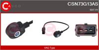 BOSCH 0261231077 - Sensor de detonaciones