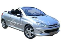 JUMASA 46401050 - Piloto de matrícula