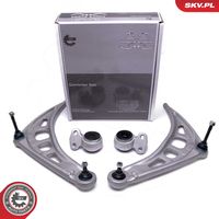 DELPHI TD408W - Suspensión, Brazo oscilante