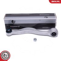 DELPHI TC706 - Barra oscilante, suspensión de ruedas